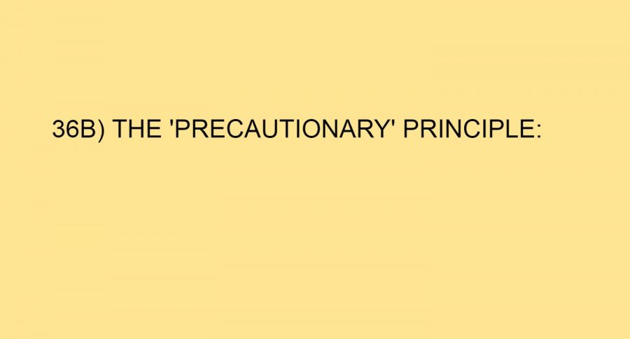 36B) THE ‘PRECAUTIONARY’ PRINCIPLE: